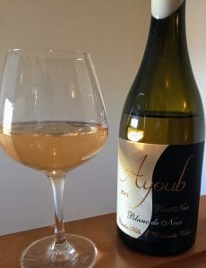 60 Second Wine Review Ayoub Blanc de Noir SpitBucket