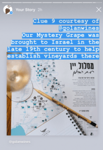 IG Mystery Grape Israeli wine.