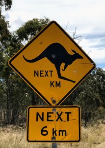 Kangaroo crossing sign