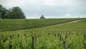 I'm sure the plot of Haut-Bages-Liberal that stands in the shadow of the tower of neighboring Chateau Latour gets LOTS of special attention